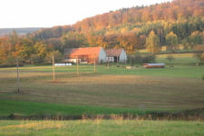 images/Unsere-Tiere/hof schafe landschaft 2007.png